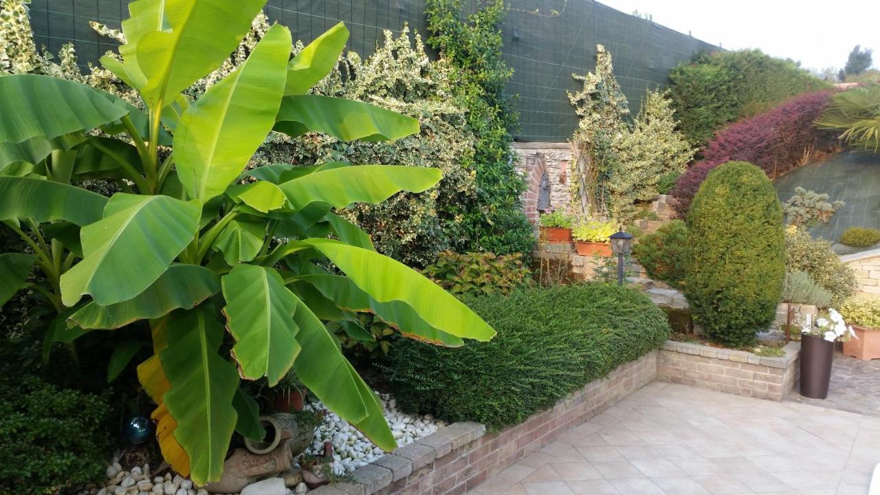 Villa Laura B&B Fossano Exterior foto